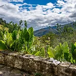 Casas De Casa De Abajo