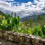Casas De Casa De Abajo *