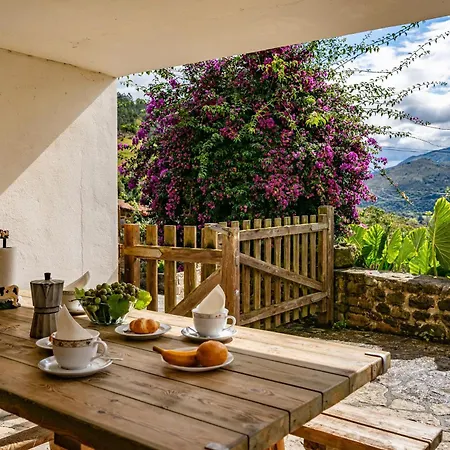 Casas De Casa De Abajo *