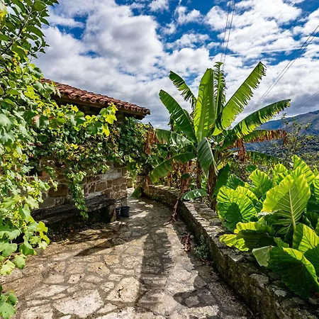 Casas De Casa De Abajo * Para (Asturias)